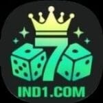 Image for IND1 GAME